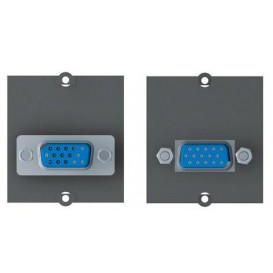 BACHMANN 917.011 Modulo VGA