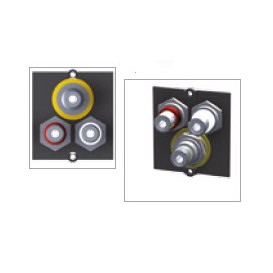 BACHMANN 33917.026 Modulo...