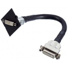 BACHMANN 33917.078 Modulo DVII