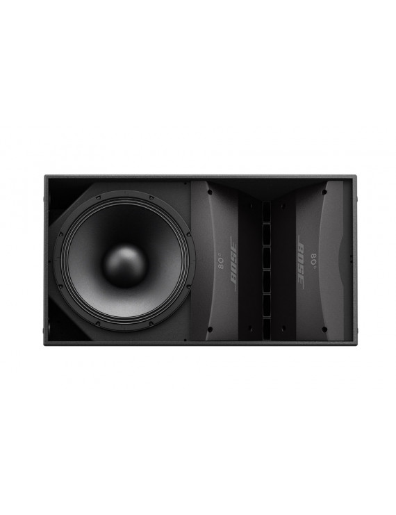 BOSE Professional ArenaMatch AM40/100 Outdoor Loudspe