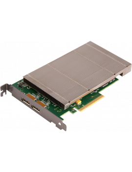 DATAPATH 2 channel capture card DP