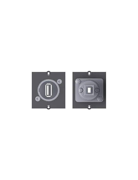 BACHMANN 33917.018 Modulo USB A