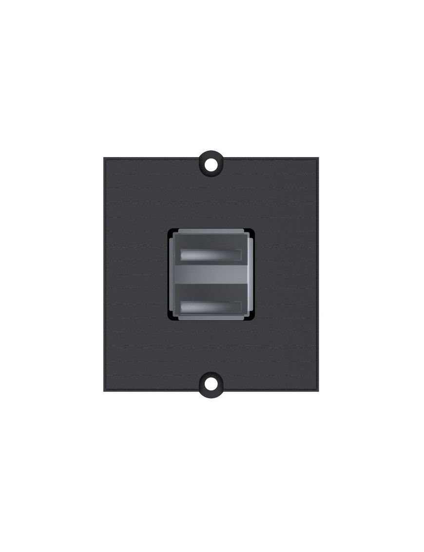 BACHMANN 917.141 Modulo USB