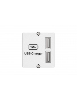 BACHMANN Modulo 2xUSBA Charger