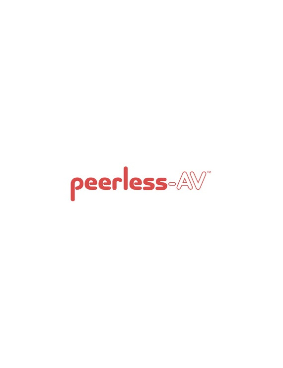 PEERLESS 2RU Rack