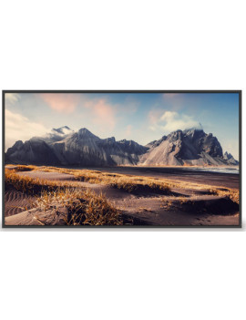 MAXHUB ND55CMA 55'' 4K Display