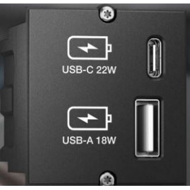 BACHMANN Modulo USBA&C Charger