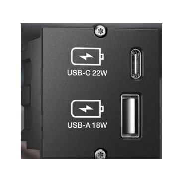 BACHMANN Modulo USBA&C Charger