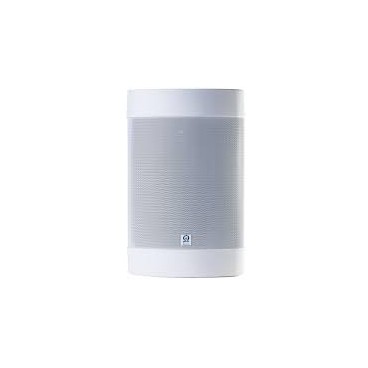 Origin Acoustics Outdoor Speaker white