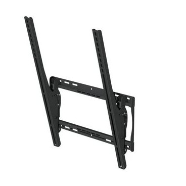 PEERLESS Outdoor Univ.Tilting Mount